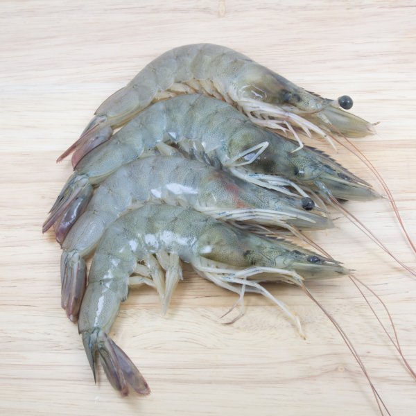 Black Tiger Shrimp